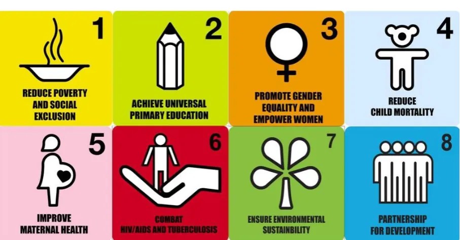 Figure 3 - Millenium Development Goals 
