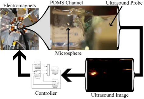 Fig. 1.Electromagnets are used to actuate the microsphere inside of aPDMS channel ﬁlled with silicone oil