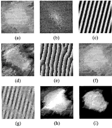 Figure 1. Images (a-f) were produced by the Daugman- Downing demodulation transform; while images (g-i) were the three new components generated by the adapted 