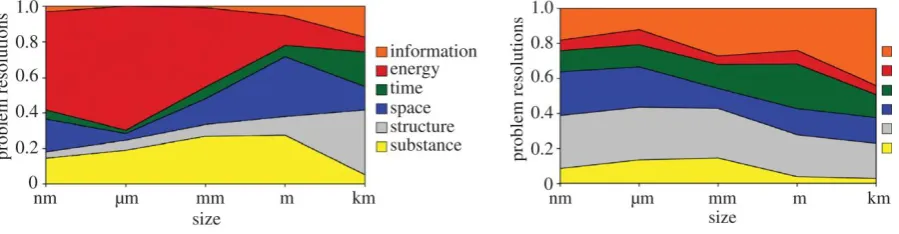 FIGURE 8 | ENGINEERING TRIZ SOLUTIONS (LEFT) AND BIOLOGICAL EFFECTS (RIGHT) ARRANGED ACCORDING TO 