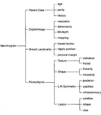 Fig. been carried out to the required level segmentation and mamniograni- subsequent steps
