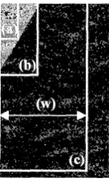 Figure 7(a) shows the threshold versus window Comparing this model to an actual mammogram, found from the first and second derivative, is proximation to the shape tracted using the inflection point threshold is for small window sizes