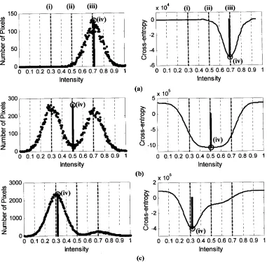 Figure 5: Histogram and cross-entropy h c t i o n  for rectangular windows from the model in Fig- ure 4(a-c) shown with corresponding lettering