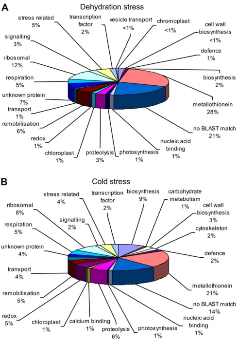 Fig. 3. Functional analysis of all ESTs derived from(A) dehydration-stressed (6 h or 48 h followed by 3 h refreshment)and (B) cold-stressed (3 d cold treatment followed by a 3 h or 24 hrefreshment period) cDNA libraries.