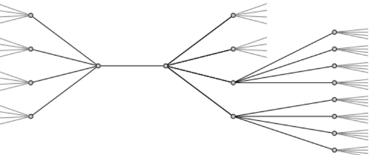 Figure 2: Tree S with diameter 4 consisting of 18 vertices that was successfully excised from the (5, 8)-cage.