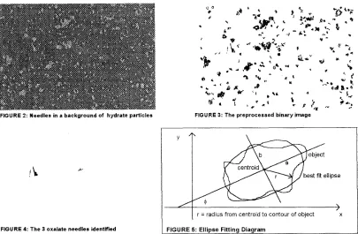 FIGURE 2: Needles in a background of hydrate particles 