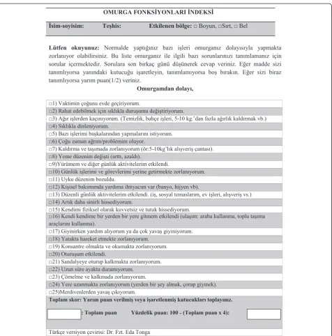 Figure 3 Türkçe versiyon çevirisi.