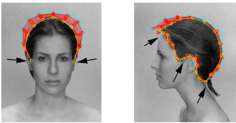 Figure 2: The result for hair boundary detection after using snake without interactive correction.