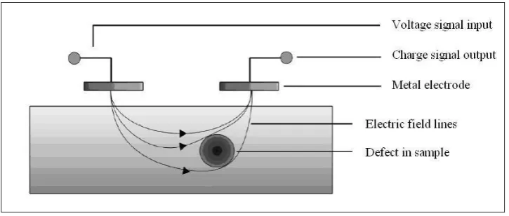 Figure 2: Schematic diagram of the capacitive imaging approach 