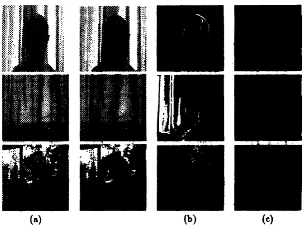 Figure 3: Branches; (a) Original image, (b) Difference image, (c) Border of the differ- Examples of the three different objects: Faces, Curtains, Tree ence image, (d) Border of the difference image with ellipses along it