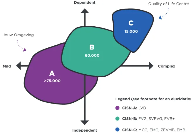 Figure 1.2 Abstract representation of the subgroups within the disability sector in the Netherlands
