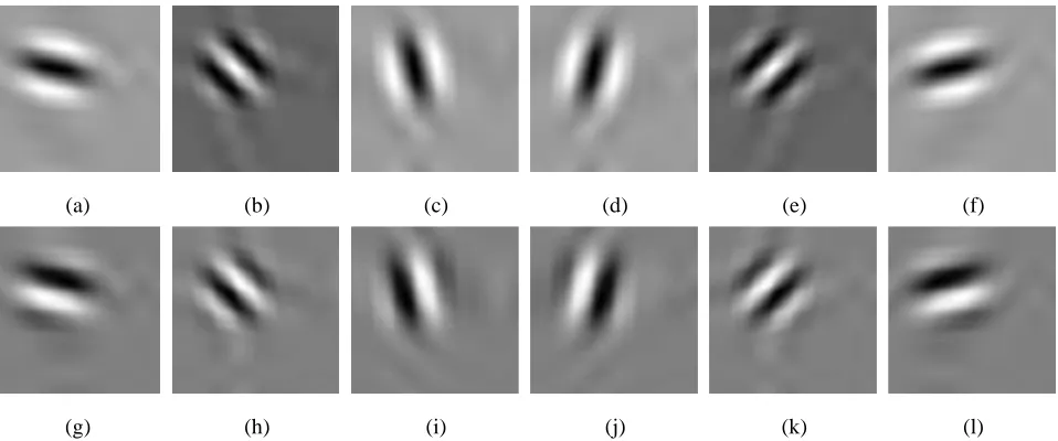 Fig. 6.Frequency-domain partition resulted from a two-level 2-D DT-CWT decomposition, where wR and wI are the real axis and the imaginary axis ofthe complex frequency domain, respectively.