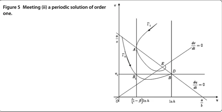 Figure 5 Meeting (ii) a periodic solution of order