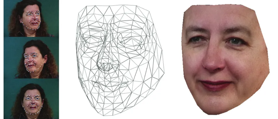 Figure 12. A 3D mesh constructed from three views of a person’s face. See also videos at www.warwick-warp.com/customization.html.