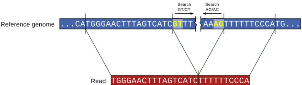Fig. 7: Algorithmic description of the Work-flows 2 in HPG Aligner SA.