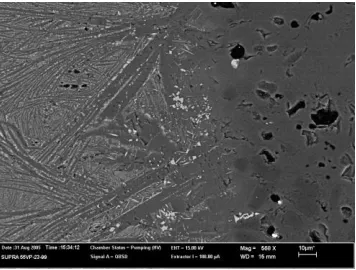 Fig. 1 XRD patterns of the studied glazes  