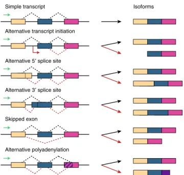 Fig. 1 Alternative splicing mechanisms. A single gene may be transcribed into several distinct mRNA variants called isoforms through alternative splicing mechanisms