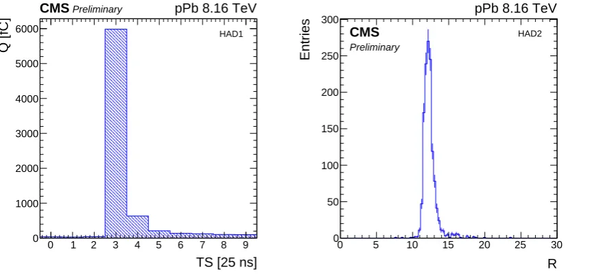 Figure 1. The side view of the CMS Zero Degree Calorimeter (left) and the segmentation of eachsections (right) [21].