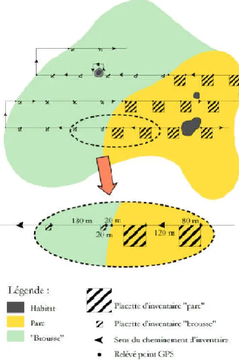 Figure 1 Schematic of the applied forest inventory method 