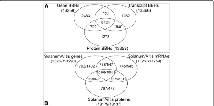 Fig. 1 Comparison between genes, mRNAs and proteins similarity searches results. a Venn diagram showing differences and similarities in the number of BBHs detected using genes, mRNAs and protein sequences