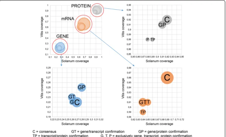 Fig. 5 Groups of BBHs detected by each level of analysis. The confirmation level is shown: BBH detected at gene (blue), transcript (orange) and protein (grey) sequence level