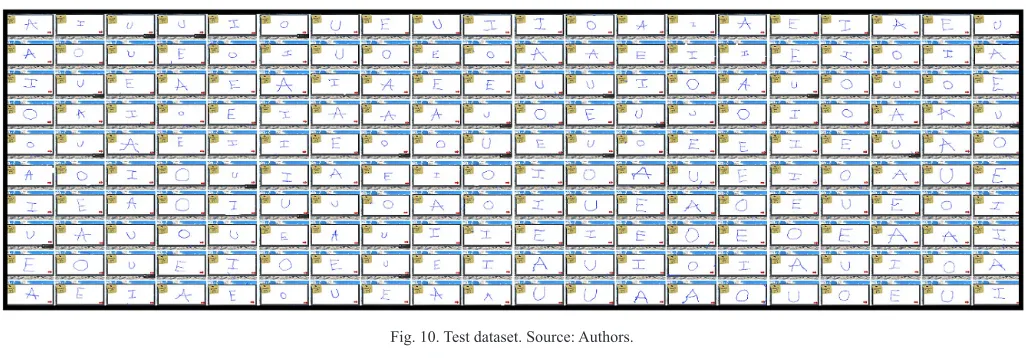 Fig. 10. Test dataset. Source: Authors.