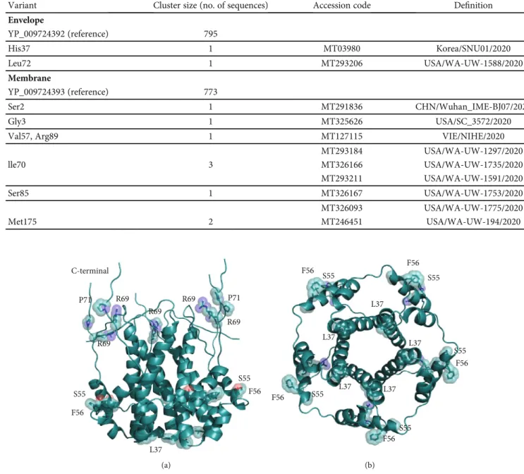 Table 1: Size of the variant clusters of the Sars-CoV-2 Envelope and Membrane proteins.