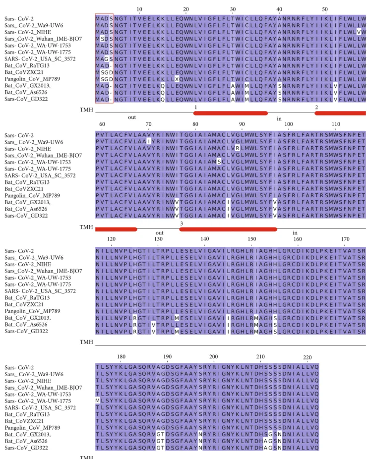 Figure 3: Multiple sequence alignment among Sars-CoV-2 M protein variants and a set of most similar homologous proteins