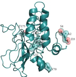 Figure 4: I-Tasser model of the Membrane protein represented as cartoon model. Variant positions are displayed as transparent space-ﬁlling spheres and labelled with the amino acid one-letter code.