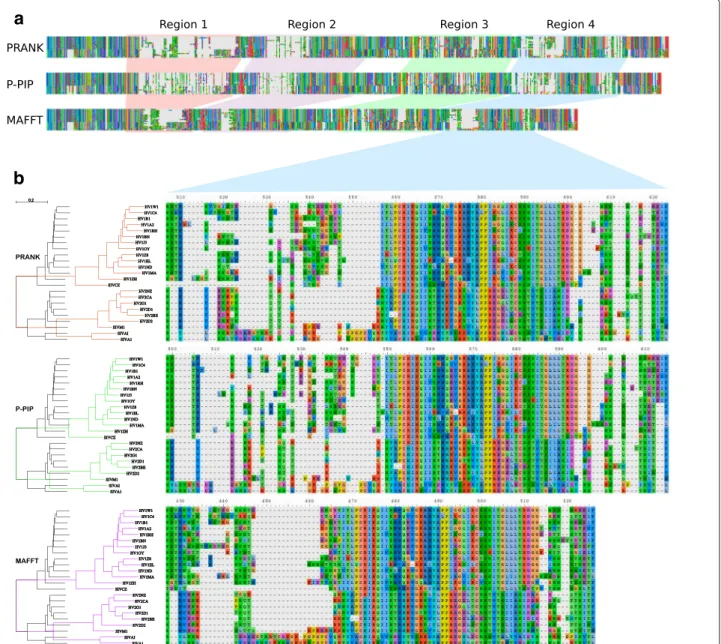 Fig. 3 MSAs inferred with PRANK+F (top), our algorithm (middle, denoted by P-PIP) and MAFFT (bottom) from 23 strains of gp120 human and simian immunodeficiency virus (always using the same guide-tree)