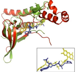 Fig. 6. Class B nucleotide-binding domains. Superposition of the first half of a split 3.50.50.60 CATH domain (green) involved in binding FAD (yellow sticks) and an unsplit 3.50.50.60 CATH domain (red) involved in NADPH binding (light blue sticks)