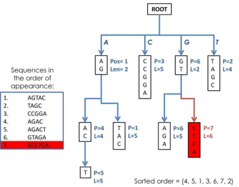 Figure 2. Non-redundification. This tree representation of 6 sequences is composed by linking all sequences’ tails (suffixes) to the parent nodes which represent the longest prefixes common to each branch