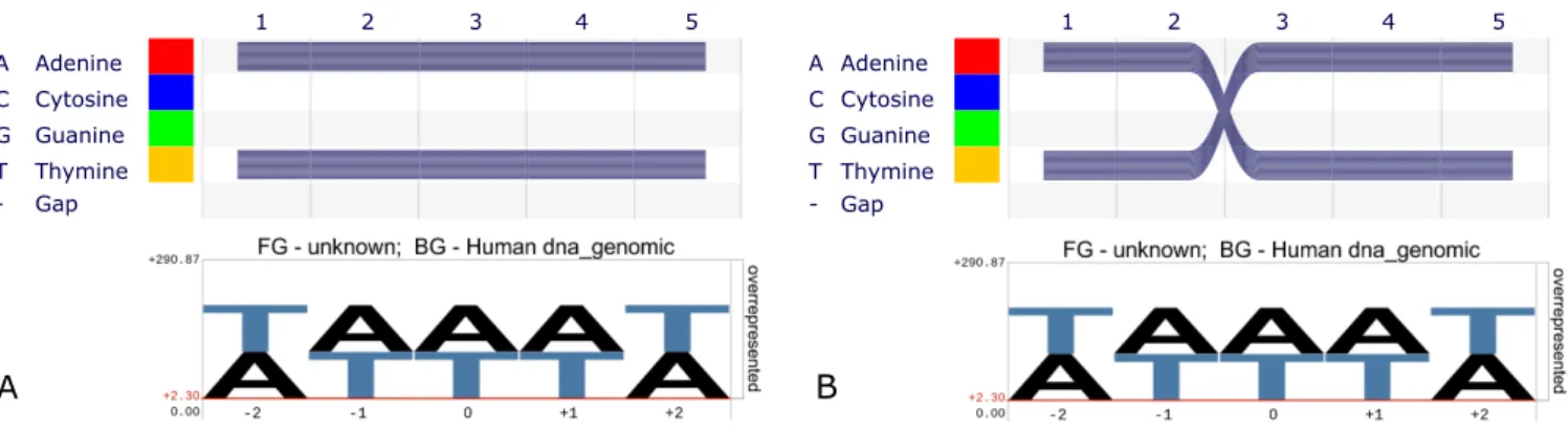 Figure 1. (A) SequenceBundles (top) and pLogo (bottom) representation of an alignment of 1000 sequences with 500 instances of AAAAA and 500 instances of TTTTT