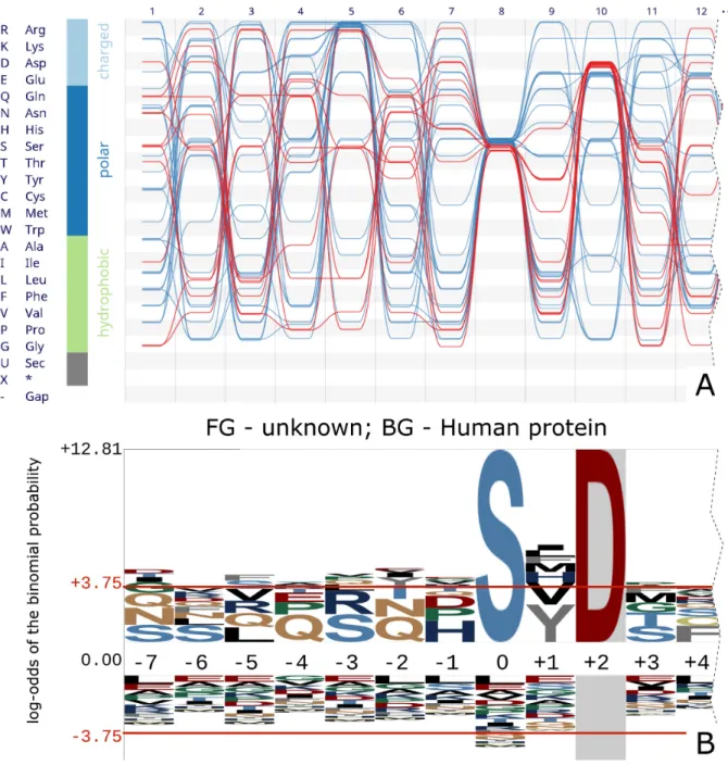 Figure 4. (A) The visualization of horizontal dependencies is a powerful tool to quickly investigate an alignment for co-dependent sites