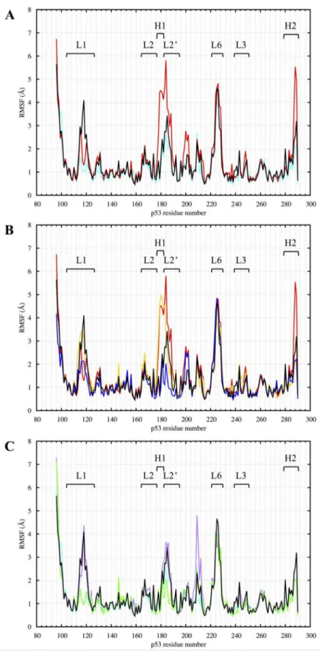 Figure 9: RMSF of the p53 variants DBD from 300 to 750 ns of the MD simulation.  (A) Comparison between R175H-mp53  and R273H-mp53 vs