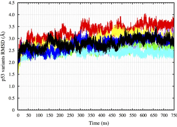Figure 1: RMSD of the p53 variants non-hydrogen atoms over 750 ns.  The plot shows that all the p53 variants have equilibrated 