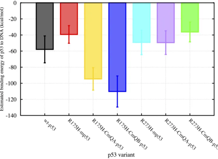 Figure 2: A bar graph of the EBEs of the p53 variants to DNA.  The binding energies of wt-p53, R175H-mp53, R175H-