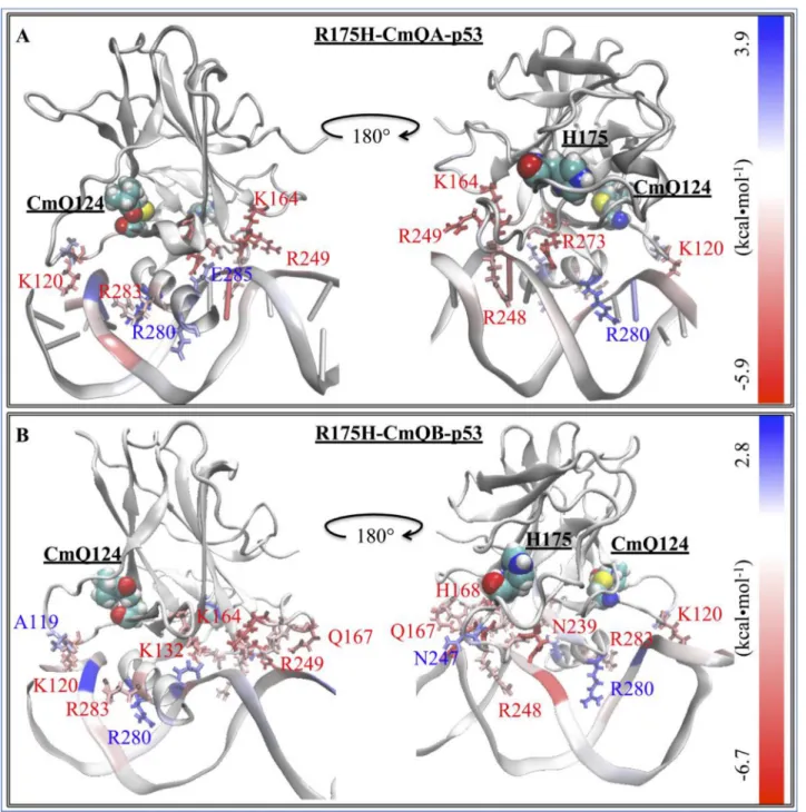Figure 5: The difference in the EBE contribution of R175H-CmQA-p53 and R175H-CmQB-p53 vs
