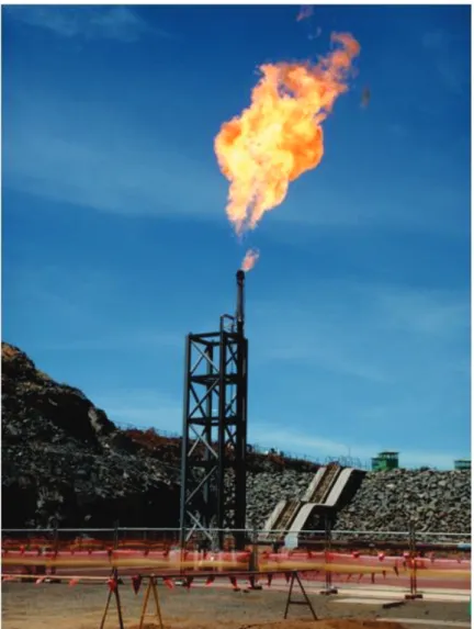 Figure 4: Commissioning Flare Tower 