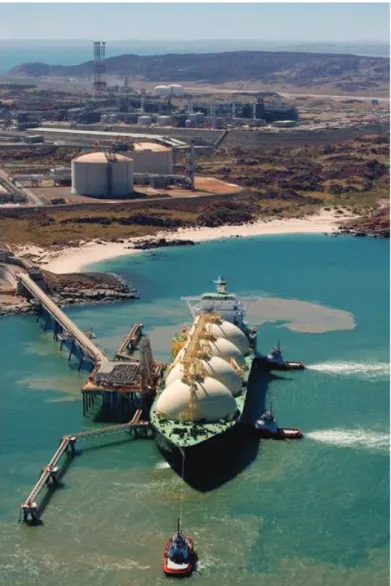 Figure 5: Pluto LNG Storage and Loading Cool-Down 
