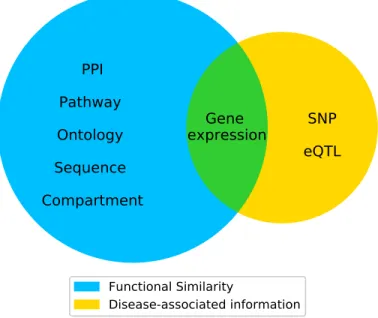 Figure 2.4: Eight types of evidence valuable for disease gene prediction. The five types of evidence in the left blue circle characterize the functional similarity of genes, and the two types of evidence in the right yellow circle contain disease-associate