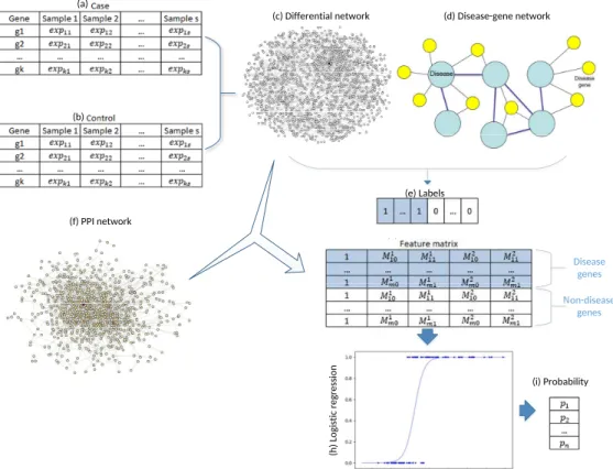 Figure 3.1: The work flow of dgSeq. (a)–(b). Clinical RNA-Seq data of the case and control subjects;