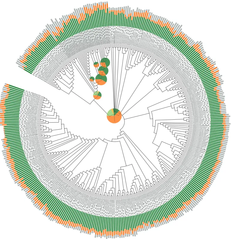 Figure 1. Statistics on the content of the eggNOG database. The eggNOG assignments for 373 complete genomes [19] were mapped onto the tree of life