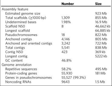 Table 1 Global statistics of P. miliaceum genome assembly and annotation