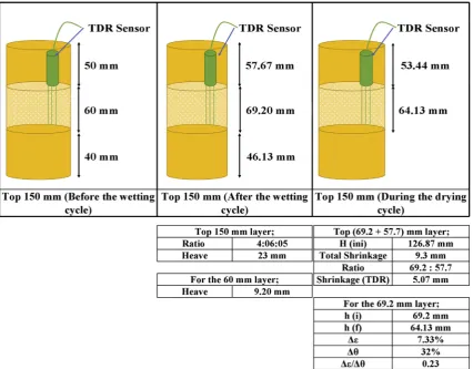 Fig. 3. (a) Subsoil displacement and (b) vwc variations during the dry cycle.