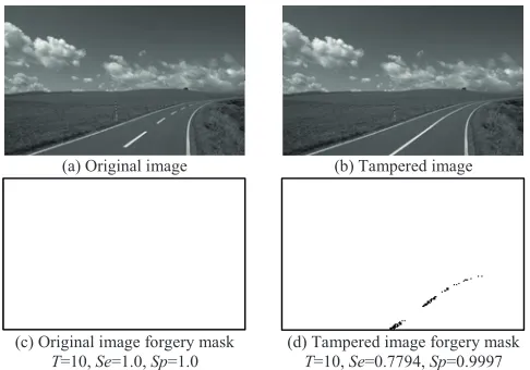 Fig. 5. Third experiment (copy-move).
