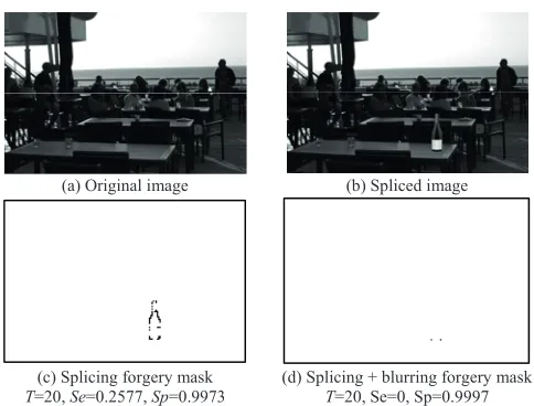 Fig. 7. Fifth experiment (splicing and blurring).