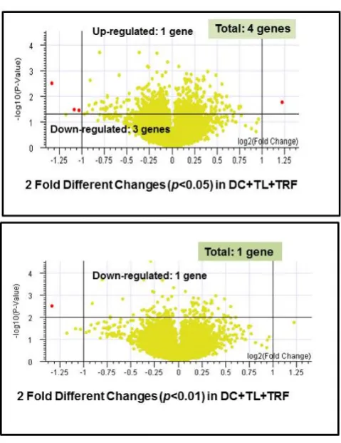 Table 4. Gene proﬁling in two-fold diﬀIn tumors from the DC + TL + TRF, the expression of SATB1erent changes