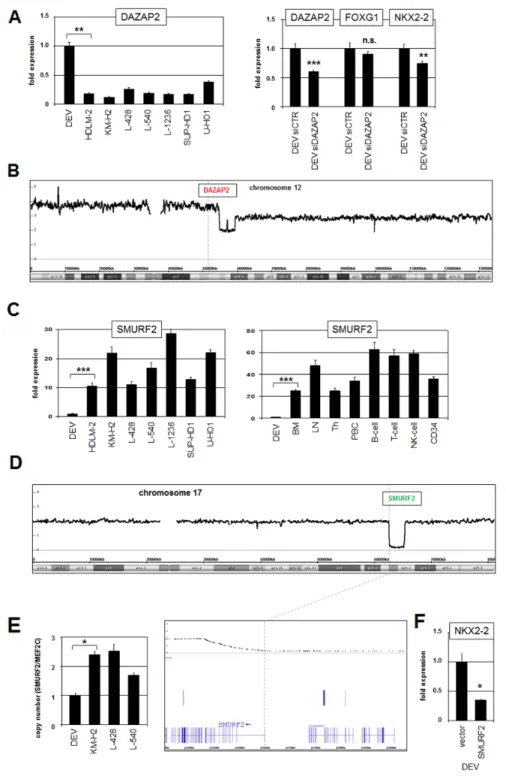 Figure 3: DAZAP2 and SMURF2 are deregulated modulators of IL17RB activity.    (A) RQ-PCR analysis of DAZAP2 