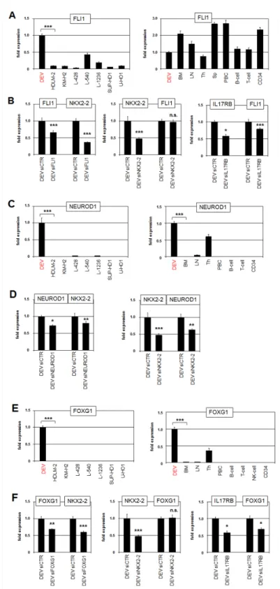 Figure 4: Neuronal TFs FLI1, NEUROD1 and FOXG1 activate NKX2-2 expression.   (A) RQ-PCR analysis of FLI1 in HL 